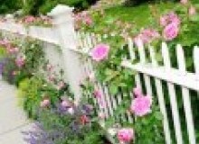 Kwikfynd Garden fencing
murarrie